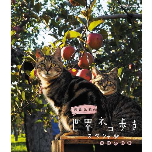 岩合光昭の世界ネコ歩き スペシャル 津軽の四季 ブルーレイ NHKDVD 公式