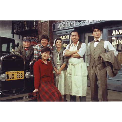 大河ドラマ 山河燃ゆ 完全版 DVD全2巻セット NHKDVD 公式