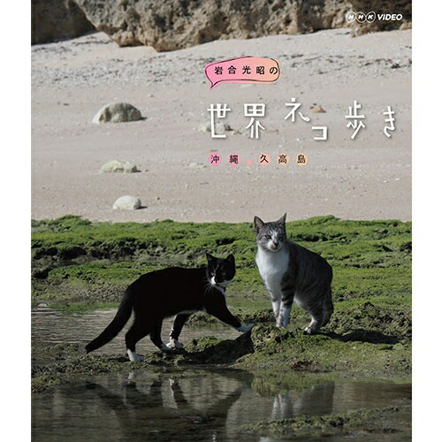岩合光昭の世界ネコ歩き 沖縄 久高島 ブルーレイ BD NHKDVD 公式