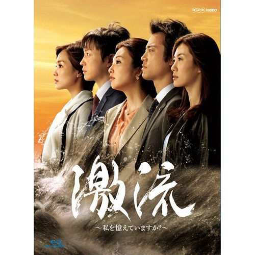 激流 〜私を憶えていますか?〜 全3枚セット NHKDVD 公式
