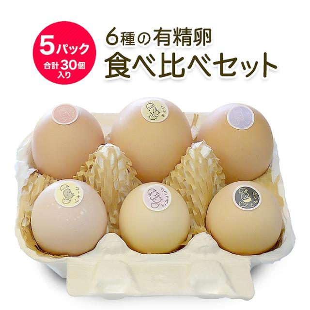 六種の有精卵食べ比べセット 6個入 5パック 計30個 あずさ 薬師おうはん 烏骨鶏 にいがた地鶏 名古屋コーチン 薬師軍鶏 のし対の通販はau Pay マーケット グルメロディ お取り寄せ市場