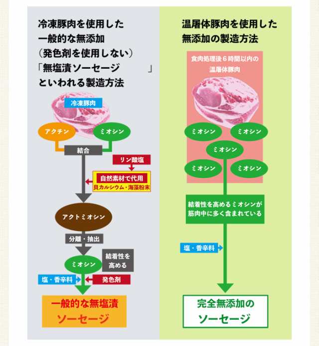 完全無添加ハム・ソーセージ6種 内容量 約680g シャルキュティエ 田嶋ハム工房 mt35a お歳暮 のし対応可の通販はau PAY マーケット -  グルメロディ お取り寄せ市場