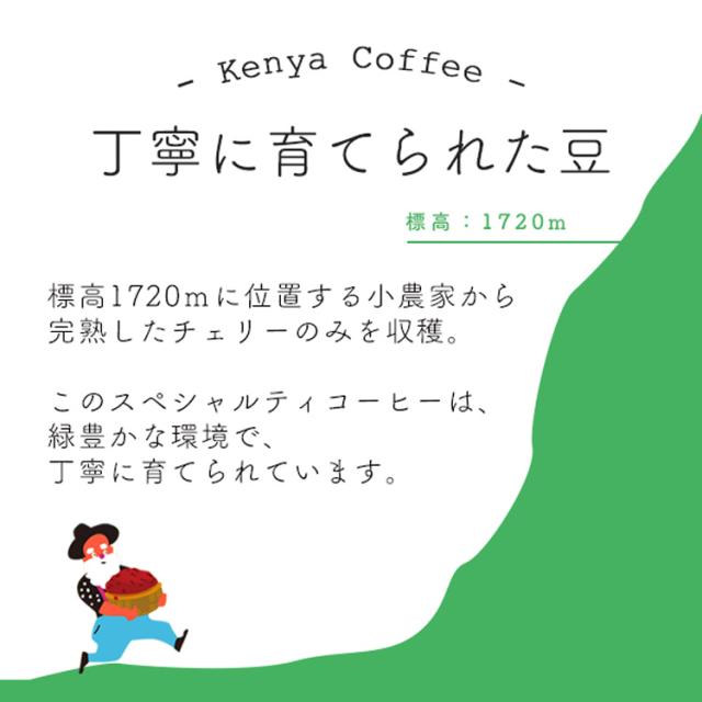グルメドリップコーヒー「マンボビピ」ケニア ガタイシコーヒーファクトリー 100杯分 / スペシャルティコーヒー 【送料無料】_5