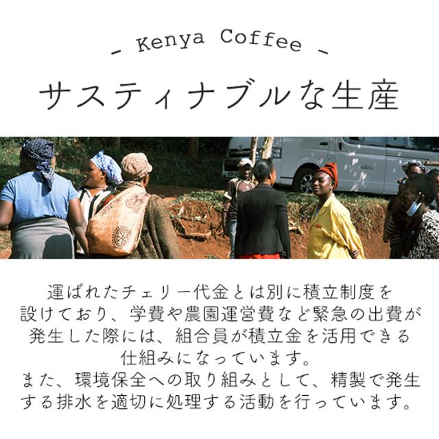 グルメドリップコーヒー「マンボビピ」ケニア ガタイシコーヒーファクトリー 100杯分 / スペシャルティコーヒー 【送料無料】_6