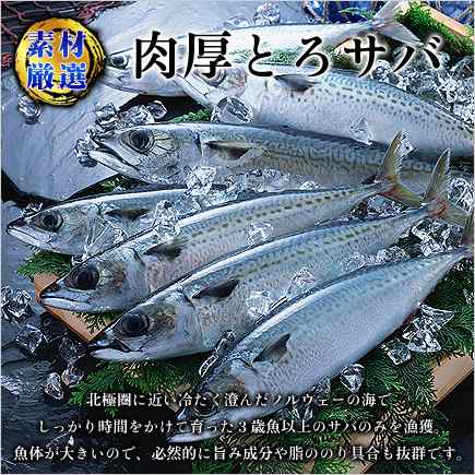 脂がしたたる 肉厚 とろさば一夜干し 特大サイズ2枚入り 【鯖】 【さば】 【サバ】 【一夜干し】 BBQ バーベキュー 朝食 ギフト