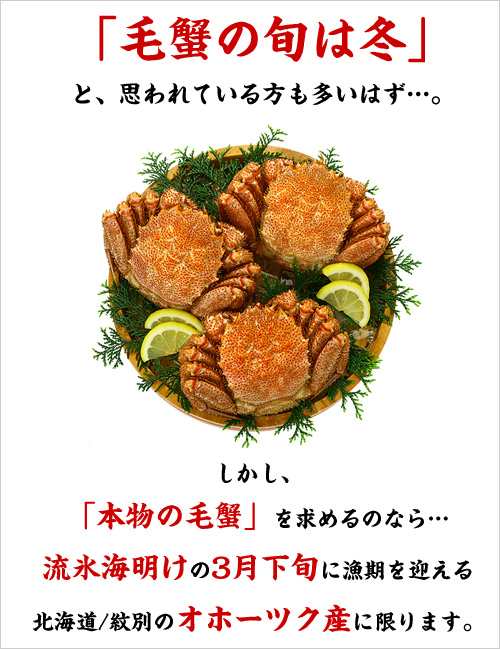 北海道オホーツク海の流氷海明け　甲羅組　選べるサイズ！⇒【1】【2】【3】の通販はau　プレミアム　紋別ニチモウ加工の一級品！　PAY　お年賀　越前かに職人　マーケット　PAY　マーケット－通販サイト　お歳暮　毛蟹　送料無料　au