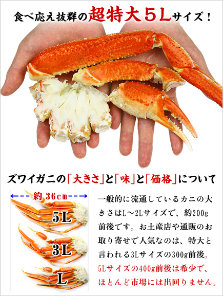 切れ目入り超特大バルダイ種ボイルずわいがに足2kg 5lサイズ 4 5肩入り 送料無料 かに カニ Kani かに S かに O かにの通販はau Pay マーケット 越前かに職人 甲羅組