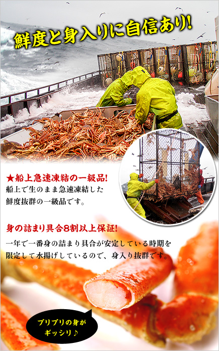 ロシア(マガダン)産 船内凍結の一級品! 超特大生ずわいがに足