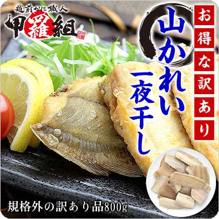 甘みある柔らかな身が絶品 日本海の山かれい一夜干し 訳あり ぶつ切り 800g食べ放題 山ガレイ やまがれい ヤマガレイ の通販はau Pay マーケット 越前かに職人 甲羅組