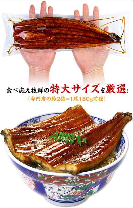 国産うなぎ蒲焼き180g×1尾 ！2尾以上で化粧箱にてお届け！ 鰻 ウナギ うなぎ お歳暮 お年賀 FFの通販はau PAY マーケット -  越前かに職人 甲羅組