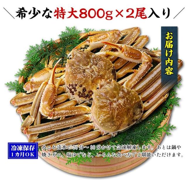 【生】ずわいがに姿 特大サイズ800g前後×2ハイ （食べ方説明書同封） かに カニ 足 ズワイガニ 蟹 かにみそ カニミソ カニ味噌 ギフト 冷凍 鍋 しゃぶしゃぶ 焼き  z_s_2