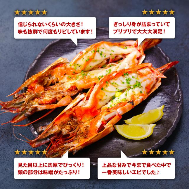 超特大 天然有頭えび シータイガー 業務用 1.3kg 7尾（1尾185g前後/約28cm）えび 海老 エビ  冷凍 海老フライ えびフライ 天ぷら 天然 BBQ プレゼント_2