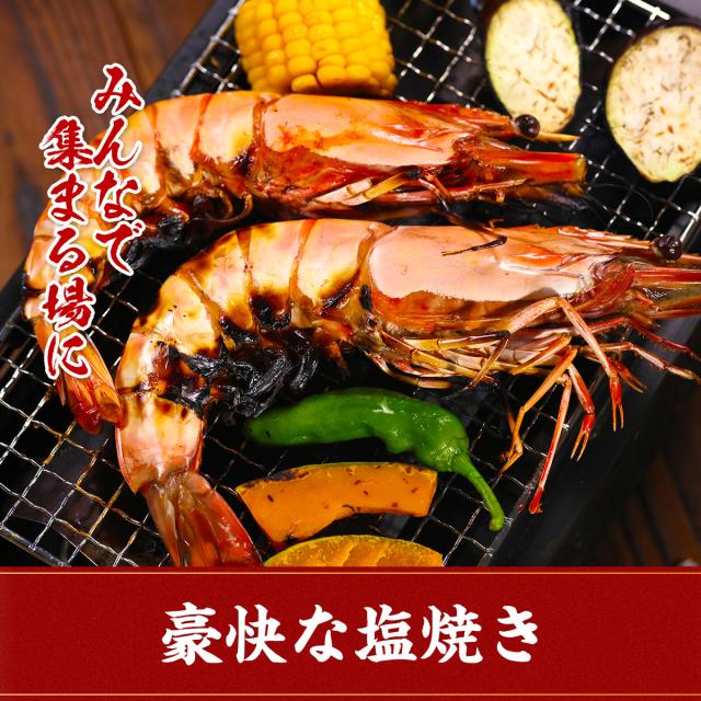 超特大 天然有頭えび シータイガー 業務用 1.3kg 7尾（1尾185g前後/約28cm）えび 海老 エビ  冷凍 海老フライ えびフライ 天ぷら 天然 BBQ プレゼント_9