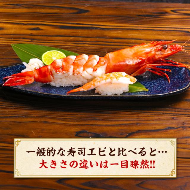 超特大 天然有頭えび シータイガー 業務用 1.3kg 7尾（1尾185g前後/約28cm）えび 海老 エビ  冷凍 海老フライ えびフライ 天ぷら 天然 BBQ プレゼント_6