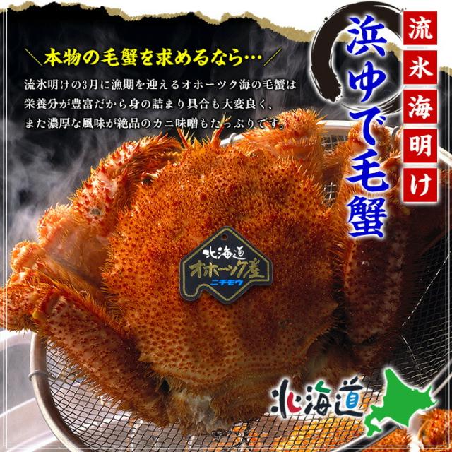 毛蟹 500g ~ 600g 姿 ボイル 冷凍 毛ガニ けがに 毛がに 冷凍食品 お取り寄せ 蟹 かに カニ 毛かに 毛カニ 年末 年始 お正月 正月 贈答 贈り物 ギフト 北海道_1