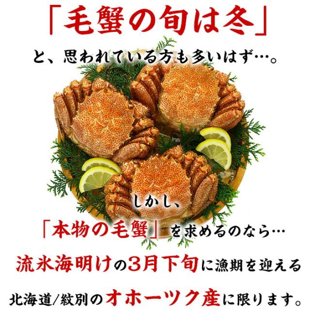 毛蟹 500g ~ 600g 姿 ボイル 冷凍 毛ガニ けがに 毛がに 冷凍食品 お取り寄せ 蟹 かに カニ 毛かに 毛カニ 年末 年始 お正月 正月 贈答 贈り物 ギフト 北海道_2