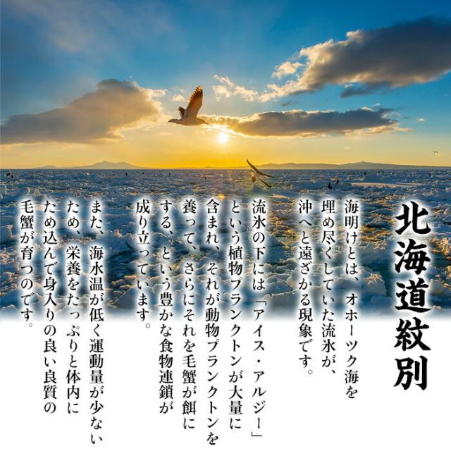 毛蟹 500g ~ 600g 姿 ボイル 冷凍 毛ガニ けがに 毛がに 冷凍食品 お取り寄せ 蟹 かに カニ 毛かに 毛カニ 年末 年始 お正月 正月 贈答 贈り物 ギフト 北海道_3