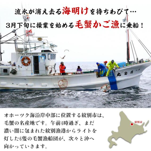 毛蟹 500g ~ 600g 姿 ボイル 冷凍 毛ガニ けがに 毛がに 冷凍食品 お取り寄せ 蟹 かに カニ 毛かに 毛カニ 年末 年始 お正月 正月 贈答 贈り物 ギフト 北海道_4