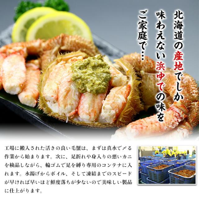 毛蟹 500g ~ 600g 姿 ボイル 冷凍 毛ガニ けがに 毛がに 冷凍食品 お取り寄せ 蟹 かに カニ 毛かに 毛カニ 年末 年始 お正月 正月 贈答 贈り物 ギフト 北海道_6
