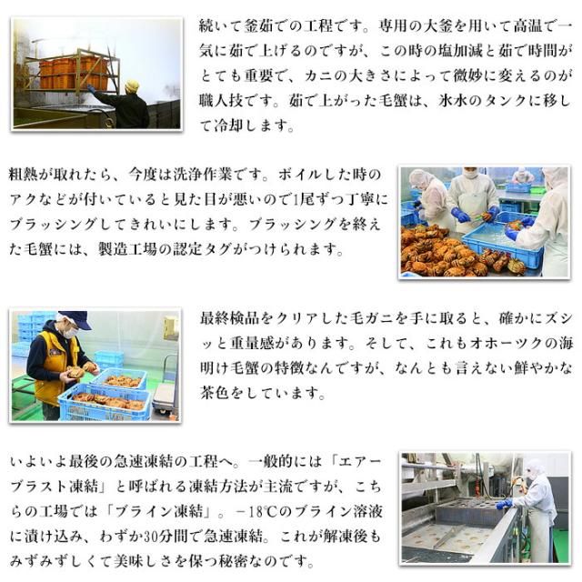 毛蟹 500g ~ 600g 姿 ボイル 冷凍 毛ガニ けがに 毛がに 冷凍食品 お取り寄せ 蟹 かに カニ 毛かに 毛カニ 年末 年始 お正月 正月 贈答 贈り物 ギフト 北海道_7