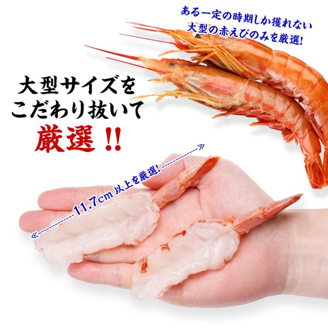 ジャンボサイズ11cm前後！ 特大 赤えび開き たっぷり20枚入り 生食用