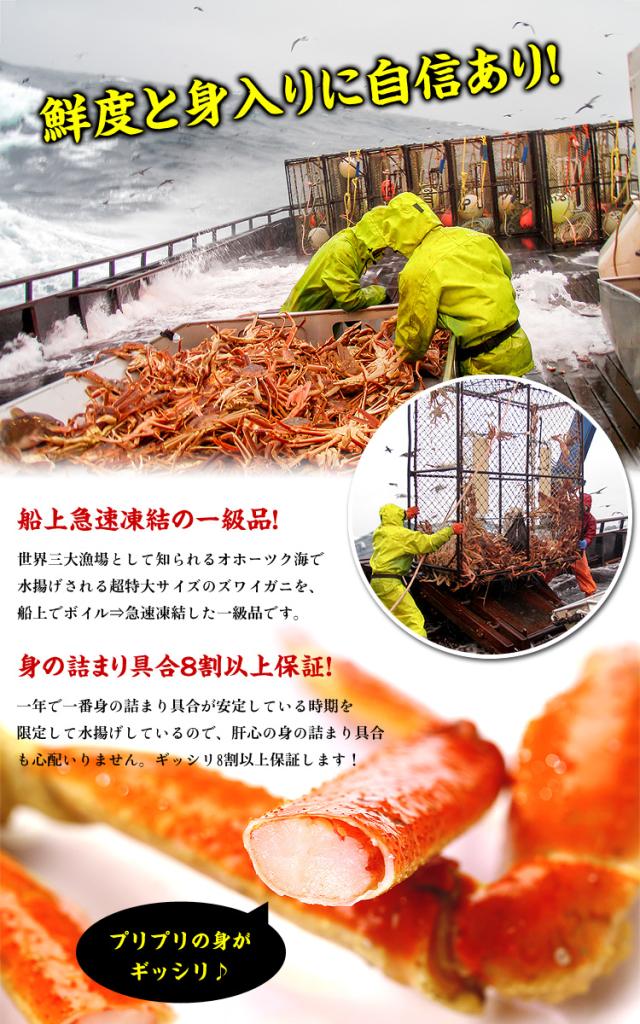 ロシア(マガダン)産 船内凍結の一級品! 大型生ずわいがに足 5kg(2Lサイズ/350g前後/18肩前後入) かに ズワイガニ 蟹 カニ 冷凍 nz_a カニ足 鍋 しゃぶしゃぶ 焼き ロシア(マガダン)産 船内凍結の一級品! 大型生ずわいがに足 5kg(2Lサイズ/350g前後/18肩前後入) かに ズワイガニ 蟹 カニ 冷凍 nz_a カニ足 鍋 しゃぶしゃぶ 焼き