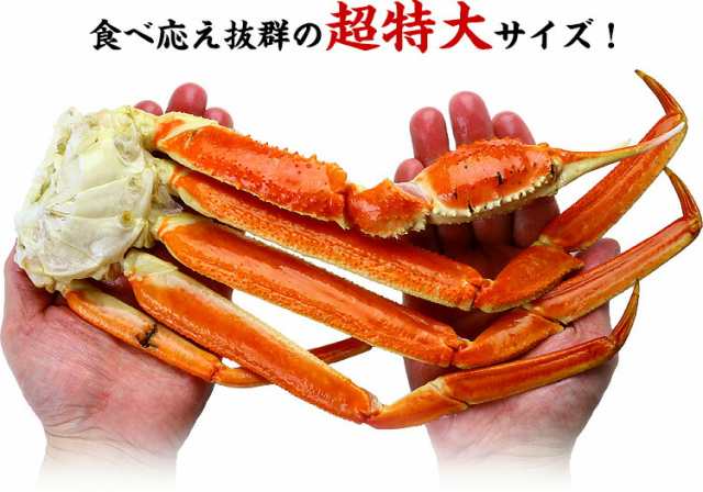 PAY　カニ　ギの通販はau　足5kg（5L〜4Lサイズ/約14肩入り）　マーケット－通販サイト　蟹　au　【送料無料】　甲羅組　ボイルずわいがに　PAY　マーケット　お年賀　超特大　越前かに職人　ズワイガニ　かに　お歳暮　【業務用/産地箱】