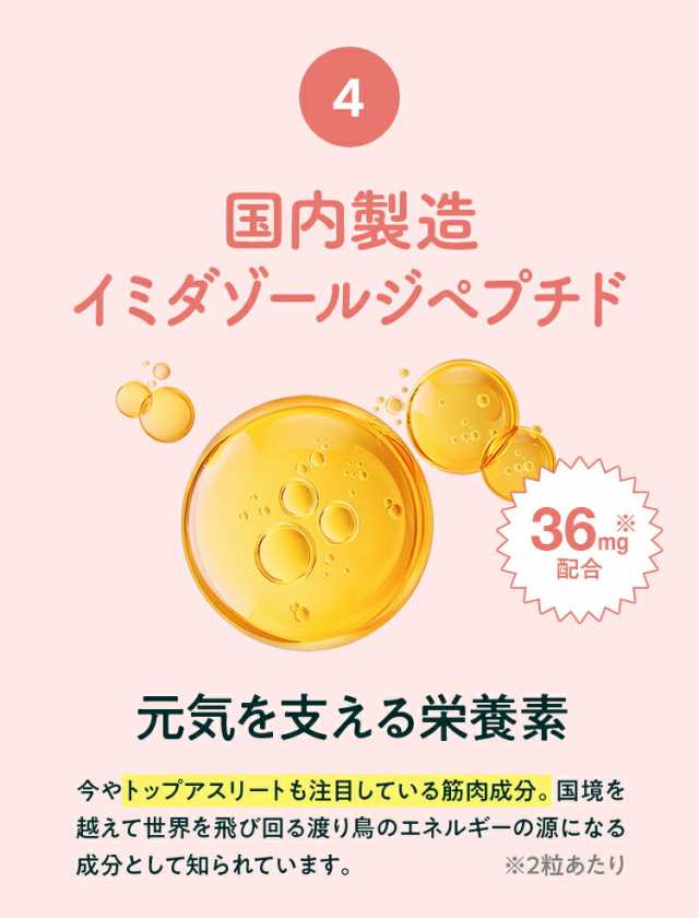 1袋単価比較で60％OFF！【徳用/約6ヵ月分】プロテオグリカン 2型