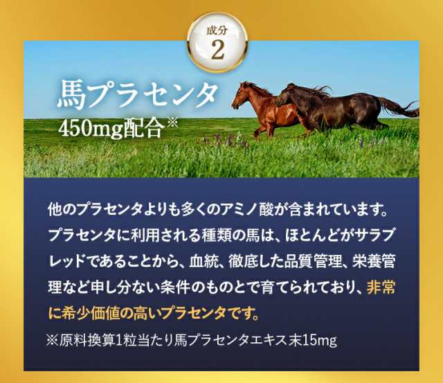 1粒あたり約5,400mgのプラセンタ（約1ヵ月分） プラセンタサプリ サプリメント ヘム鉄 豚プラセンタ 馬プラセンタ 核酸 フェルラ酸 ビタ