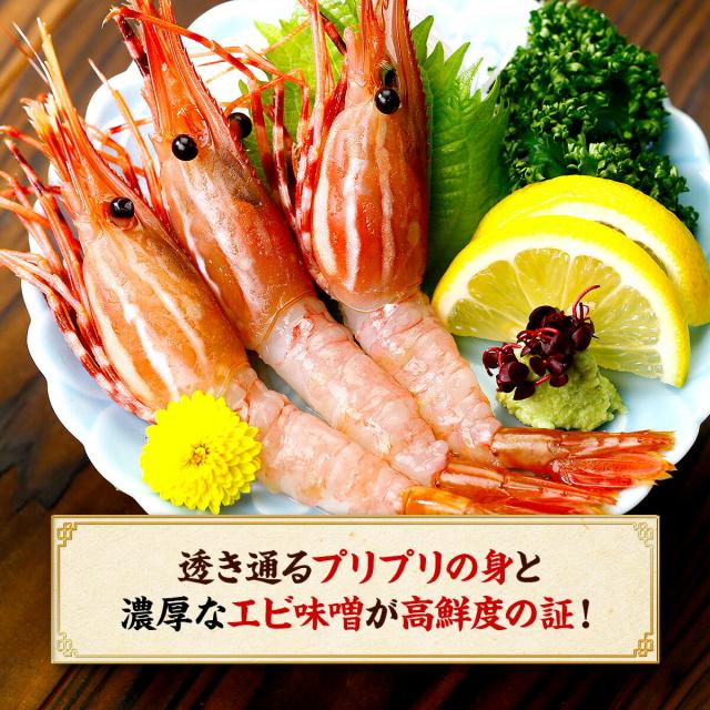 めったにない希少な超特大サイズを厳選！【カナダ産】天然ぼたんえび1kg(約15尾前後) 牡丹海老 牡丹えび ボタンエビ スポットエビ 刺身_4