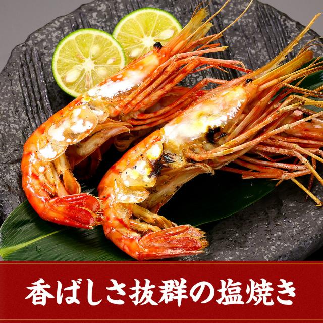 めったにない希少な超特大サイズを厳選！【カナダ産】天然ぼたんえび1kg(約15尾前後) 牡丹海老 牡丹えび ボタンエビ スポットエビ 刺身_11