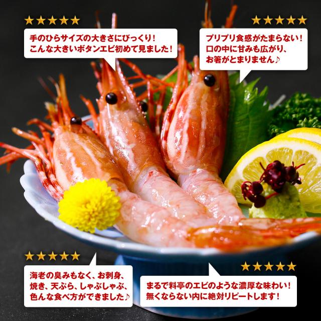 めったにない希少な超特大サイズを厳選！【カナダ産】天然ぼたんえび1kg(約15尾前後) 牡丹海老 牡丹えび ボタンエビ スポットエビ 刺身_1