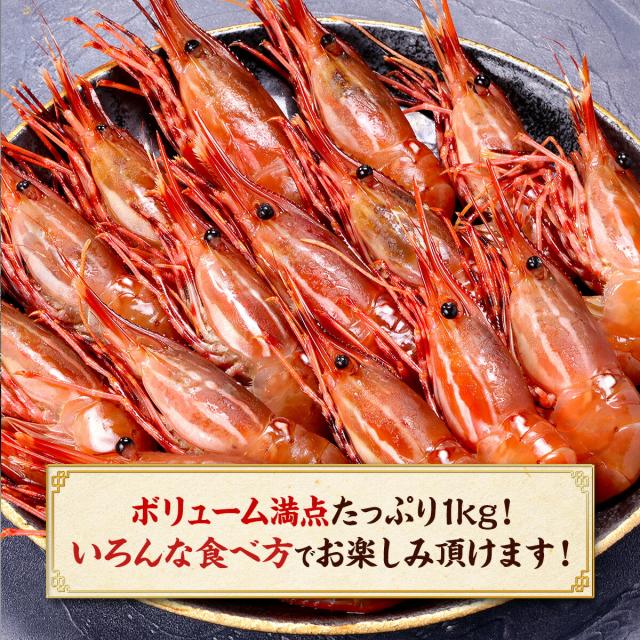 めったにない希少な超特大サイズを厳選！【カナダ産】天然ぼたんえび1kg(約15尾前後) 牡丹海老 牡丹えび ボタンエビ スポットエビ 刺身_6