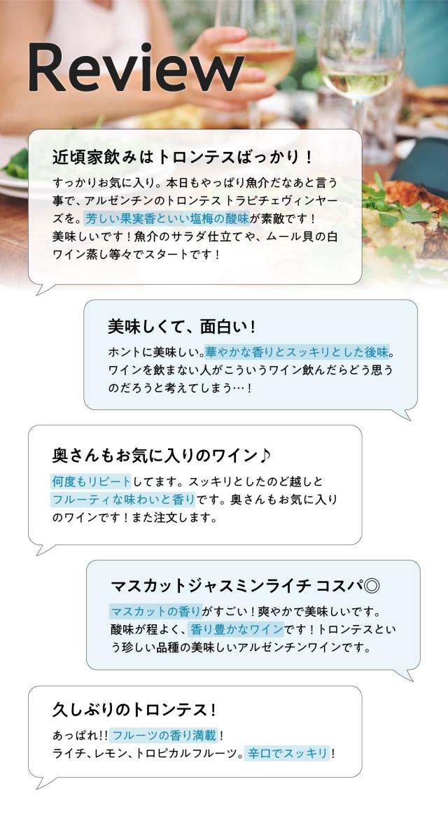 【白】ダイアモンドトロフィー受賞！辛口で爽やか トラピチェ ヴィンヤーズ トロンテス　アルゼンチン「750ml　白　辛口　ワイン」 【12本セット】　ギフト　お祝い　パーティー_6
