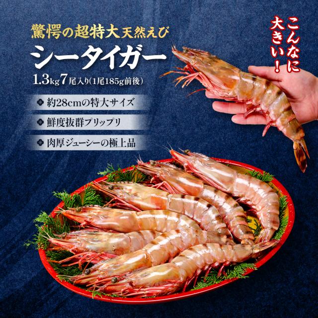 超特大 天然有頭えび シータイガー 業務用 1.3kg 7尾（1尾185g前後/約28cm）えび 海老 エビ  冷凍 海老フライ えびフライ 天ぷら 天然 BBQ プレゼント_1