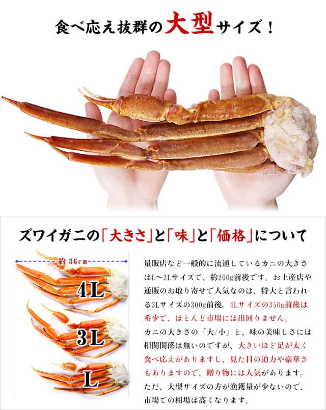 ロシア(マガダン)産 船内凍結の一級品! 大型生ずわいがに足 5kg(2Lサイズ/350g前後/18肩前後入) かに ズワイガニ 蟹 カニ 冷凍 nz_a カニ足 鍋 しゃぶしゃぶ 焼き ロシア(マガダン)産 船内凍結の一級品! 大型生ずわいがに足 5kg(2Lサイズ/350g前後/18肩前後入) かに ズワイガニ 蟹 カニ 冷凍 nz_a カニ足 鍋 しゃぶしゃぶ 焼き