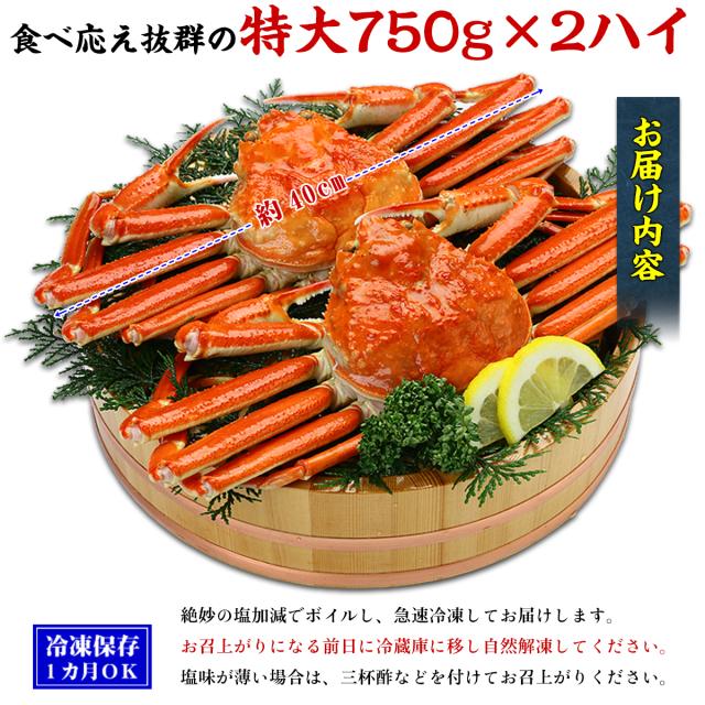 ボイル ずわいがに 姿1.5kg（750g前後×2ハイ） ※食べ方説明書同封 のし かに カニ ズワイガニ ギフト z_s 焼き_3