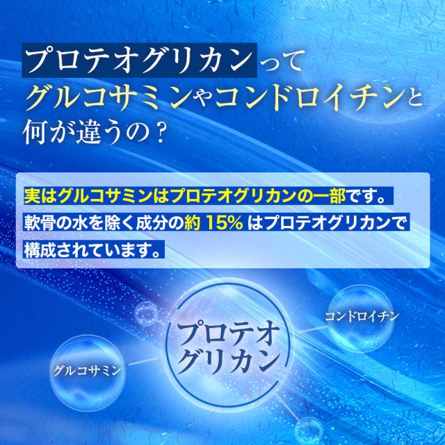北国の恵み 93粒×1袋 約1か月分 プロテオグリカン 膝 2型 北国の恵み 93粒×1袋 約1か月分 プロテオグリカン 膝 2型