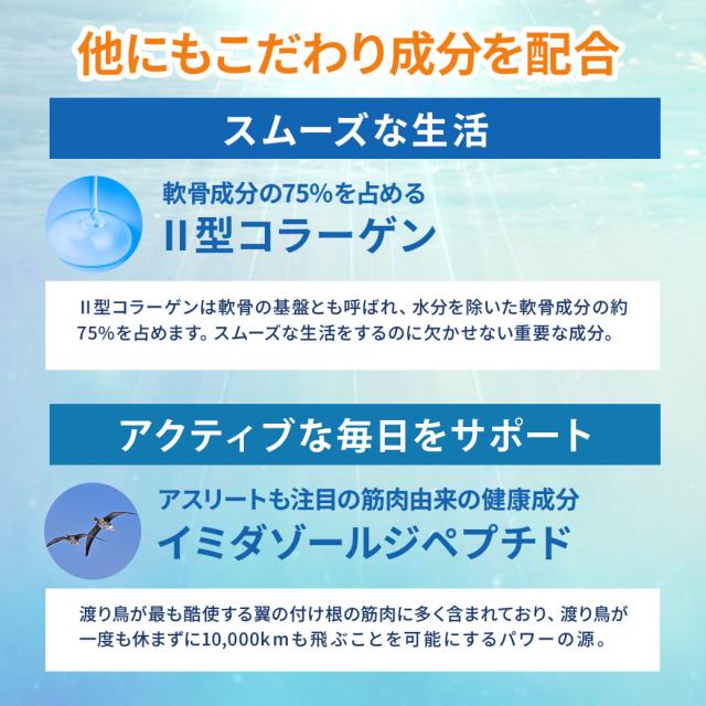 北国の恵み 93粒×1袋 約1か月分 プロテオグリカン 膝 2型 北国の恵み 93粒×1袋 約1か月分 プロテオグリカン 膝 2型