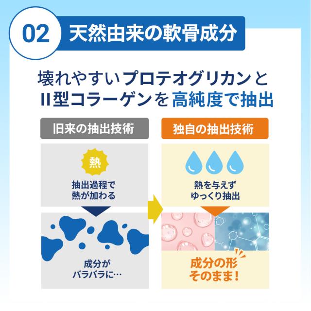 北国の恵み 30粒×1袋 約10日分 プロテオグリカン 膝 2型 北国の恵み 30粒×1袋 約10日分 プロテオグリカン 膝 2型