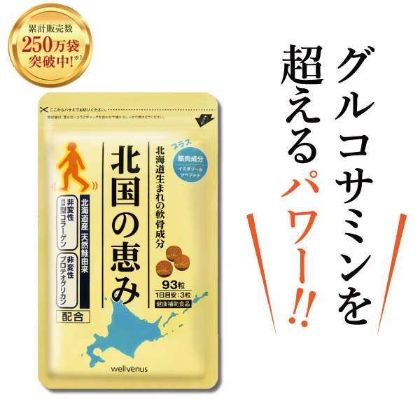 【楽天ランキング1位】プロテオグリカン 2型コラーゲン ヒアルロン酸 配合 グルコサミン を超える 新軟骨成分配合サプリメント 北国の恵み （約1か月分）の通販は