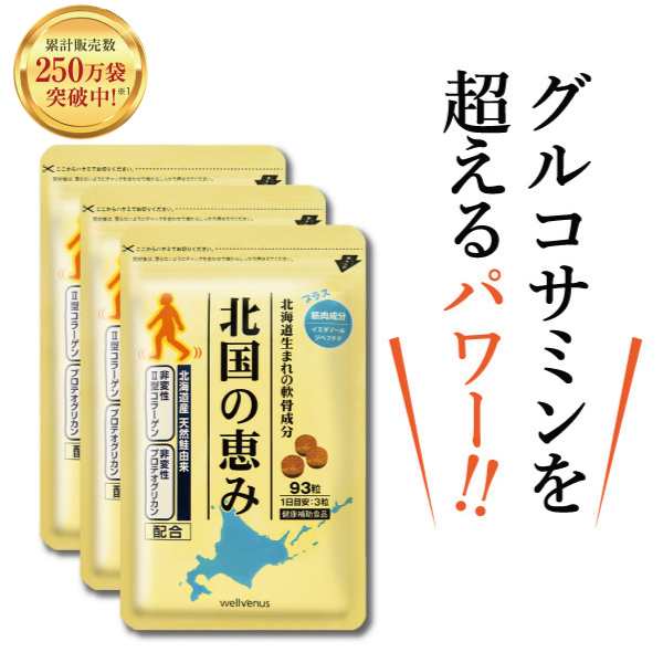 【楽天ランキング1位】 プロテオグリカン 2型コラーゲン ヒアルロン酸 配合 グルコサミン を超える 新軟骨成分配合サプリメント 北国の恵｜au  PAY マーケット