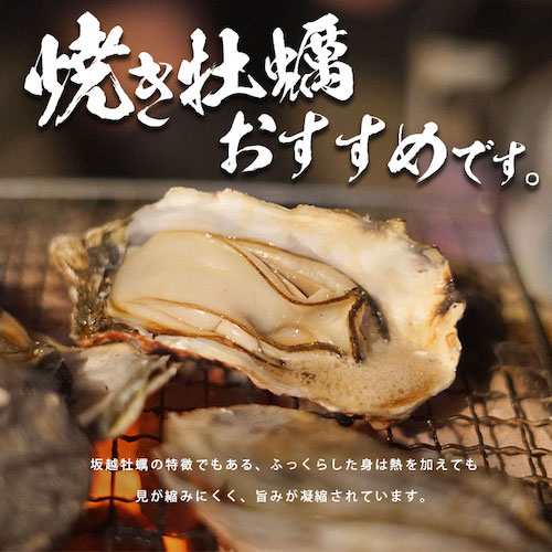 兵庫県産 坂越 夏 殻付き 牡蠣 生食用 海咲姫 みさき 約 3kg 岩牡蠣 殻