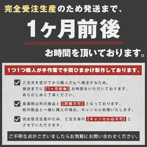 美濃焼 toki minoyaki japan お皿 皿 平皿 器 大皿 大きい 大きめ 2点セット 2枚セット セット ペア おしゃれ 桜 柄 sara 陶器 手作り 食器 結婚祝い 還暦祝い 祝い 還暦 プレゼント ギフト ギフトセット 食器セット お土産 誕生日 贈り物 お祝い 母の日 父の日 記念日