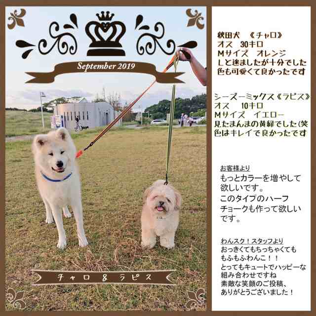 犬 犬用 リード 中型犬 大型犬 持ちやすい ソフトハンドル おしゃれ 超大型犬 小型犬 スタンダードリード メール便で送料無料の通販はau PAY  マーケット - わんスク！