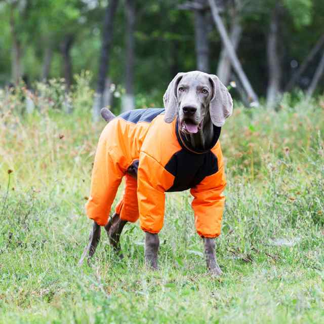 犬 服 大型犬 中型犬 防寒 秋 冬 防水フルスーツ ロンパース つなぎ 超大型犬 簡単 大きいサイズ プロテクションスーツ 送料無料