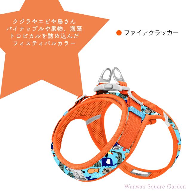 値引き❗美品‼️Breedlove Breedlove　 ハードケース R04871DW000087_fw_thumbM.jpg