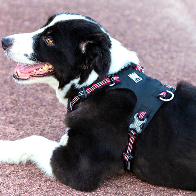 犬 ハーネス 簡単着脱 軽量 装着しやすい かっこいい ワンタッチ