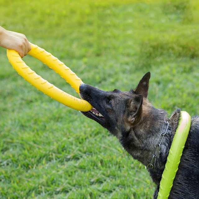 犬 おもちゃ リング フリスビー 投げる 引っ張る フライング