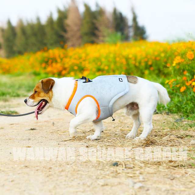 犬 熱中症対策 クールベスト ハーネス 気化熱 冷却 涼しい 犬服 高品質 小型犬 中型犬 大型犬の通販はau Pay マーケット わんスク